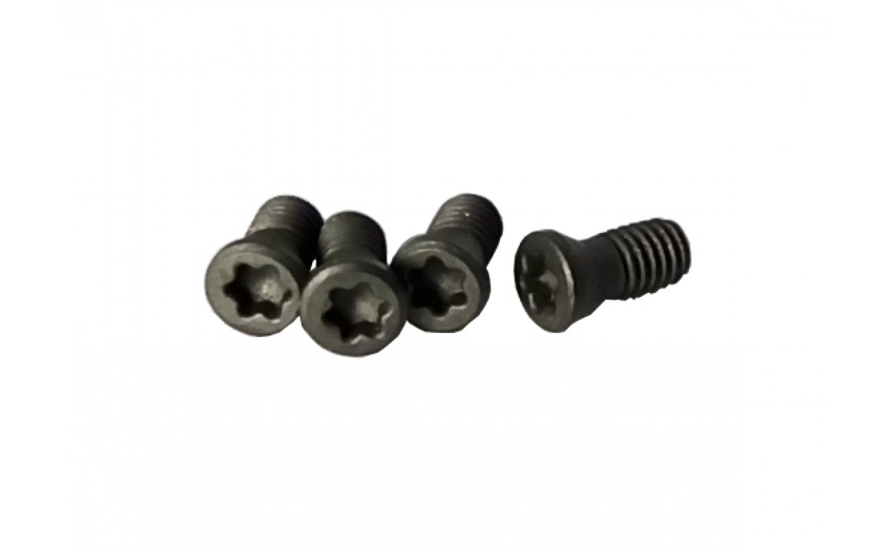 TORNILLO TORX T7 M2.5x6 VERTEX-0