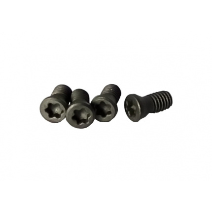 TORNILLO TORX T7 M2.5x6 VERTEX-0
