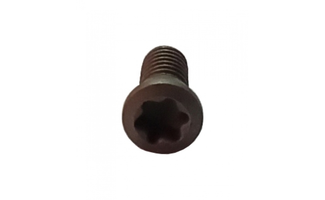 TORNILLO TORX T8 SCR-APX2.5 VERTEX-8555